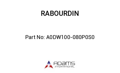 A0DW100-080P0S0