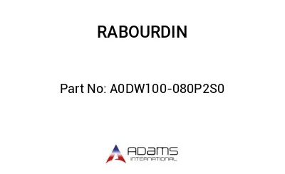A0DW100-080P2S0