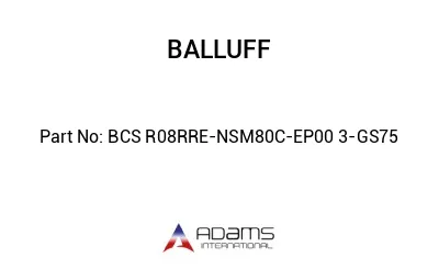 BCS R08RRE-NSM80C-EP00	3-GS75								