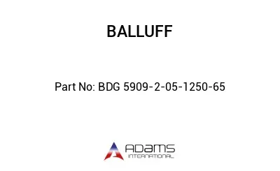 BDG 5909-2-05-1250-65									