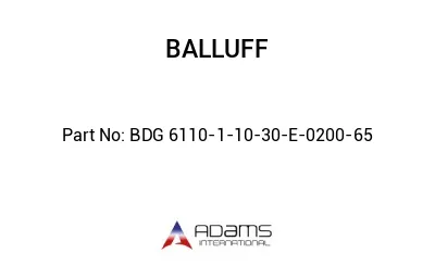 BDG 6110-1-10-30-E-0200-65									