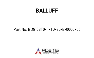BDG 6310-1-10-30-E-0060-65									