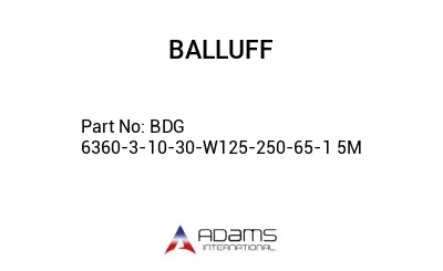 BDG 6360-3-10-30-W125-250-65-1	5M								