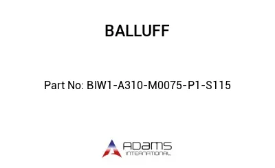 BIW1-A310-M0075-P1-S115									
