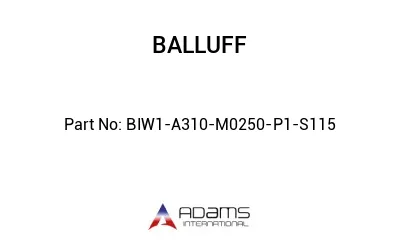 BIW1-A310-M0250-P1-S115									